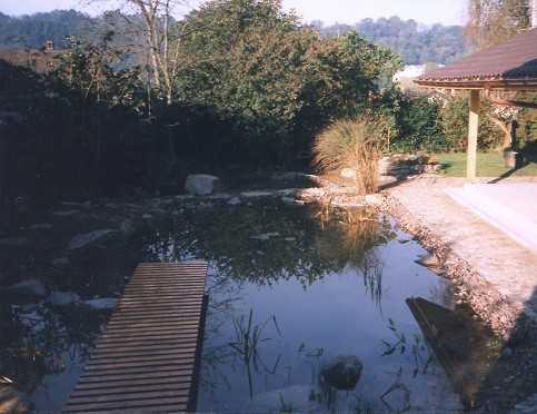  Teich 1 